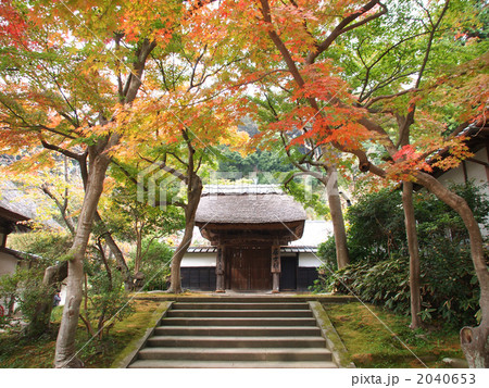 鎌倉円覚寺 2040653