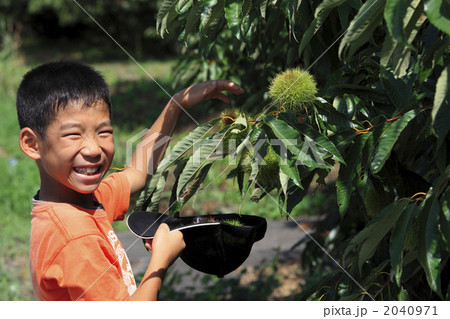 栗と少年 2040971