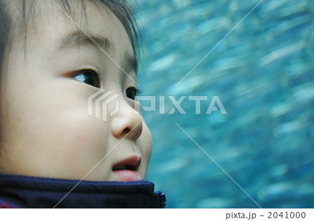 水族館にて 水族館にて 2041000