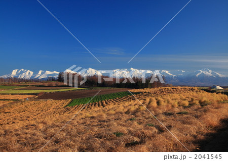 アスパラ畑と十勝岳連峰 01 アスパラ畑と十勝岳連峰 01 2041545