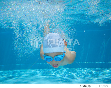 水中撮影 2042809