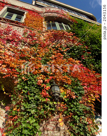 石屋製菓チョコレートファクトリー 2043156