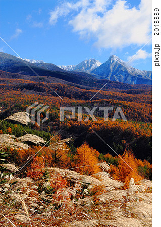 八ヶ岳冠雪と紅葉 2043339