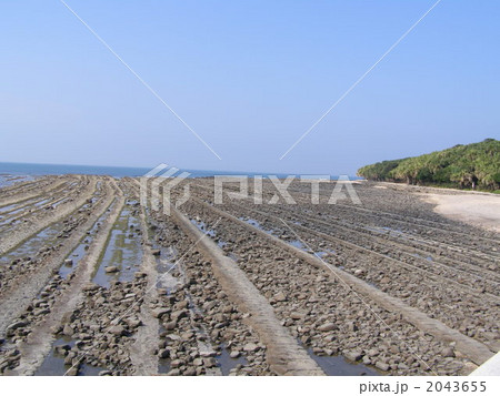 宮崎県　日南海岸　青島　夏 2043655