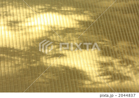 畳に映ったモミジの影 2044837