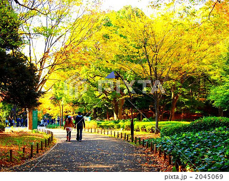 上野公園・紅葉 2045069