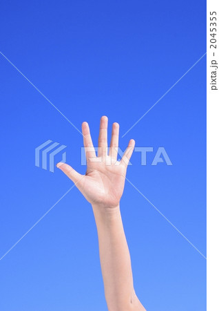 2045355