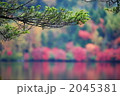 白駒池 2045381
