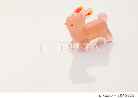 うさぎ 2045919