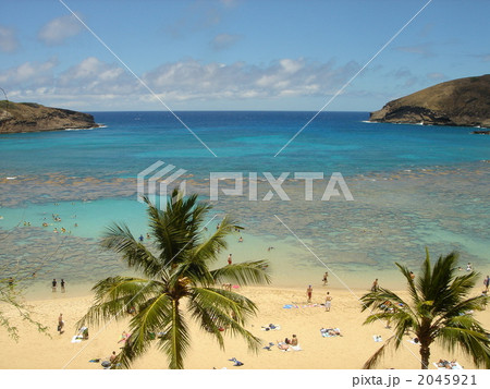 海岸　ハナウマベイ 2045921