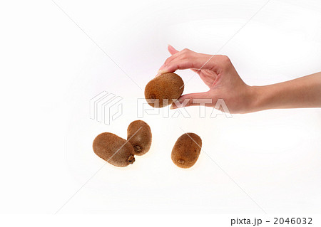 キウイフルーツ 2046032