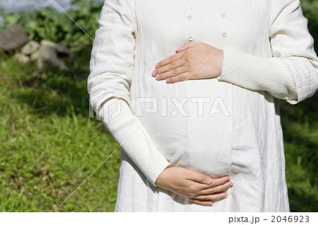お腹のふくらみ　妊娠中のお腹イメージ 2046923