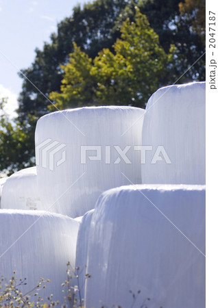 ロールベールラップサイロ 2047187