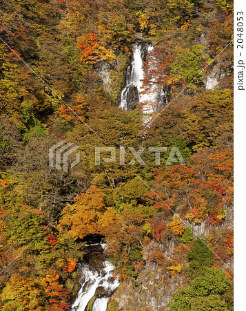 紅葉した霧降ノ滝 紅葉した霧降ノ滝 2048053