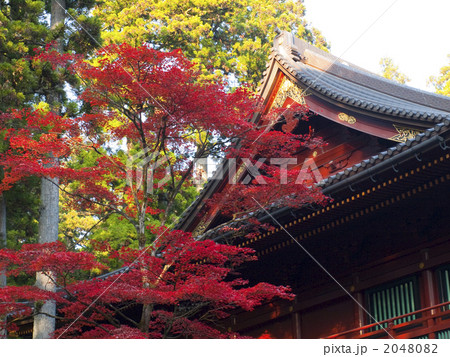 紅葉したモミジと寺院 紅葉したモミジと寺院 2048082