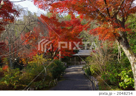 天龍寺 2048254
