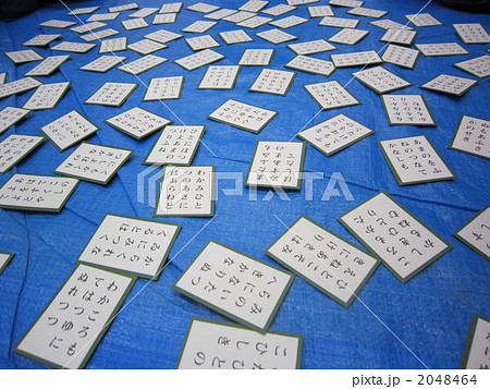 2048464