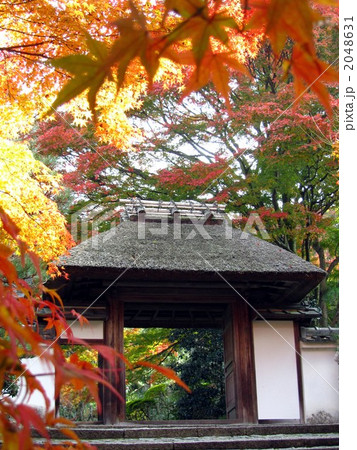 京都 紅葉の名所 特別公開の寺院 安楽寺 京都 紅葉の名所 特別公開の寺院 安楽寺 2048631