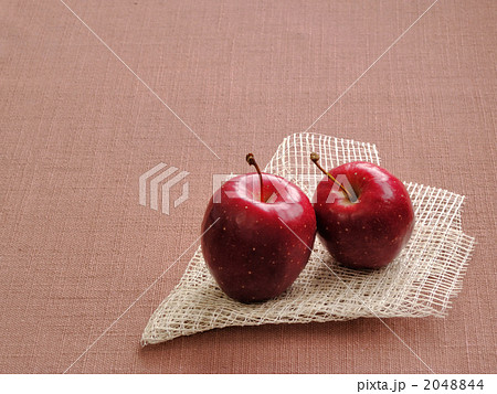 アルプス乙女 アルプス乙女 2048844