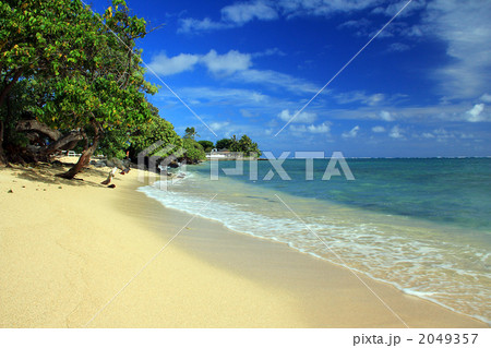 クアロアビーチパーク クアロアビーチパーク 2049357