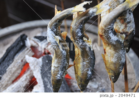 鮎の塩焼き 鮎の塩焼き 2049471