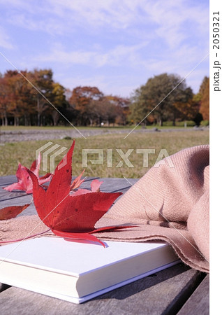 公園で読書 2050321