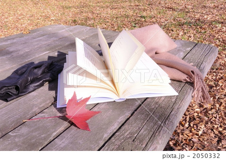 公園で読書 2050332