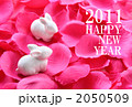 白うさぎと花弁◆年賀状2 2050509