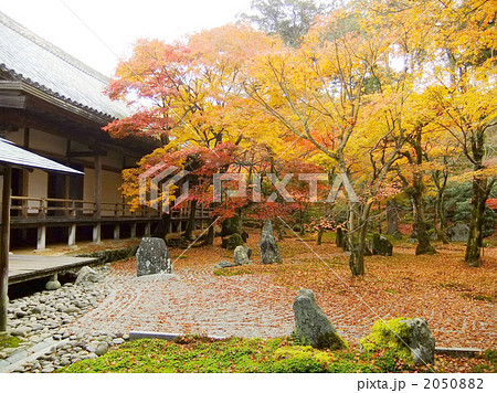 秋の光明禅寺 2050882