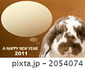 2011ロップイヤーラビット茶色 2054074