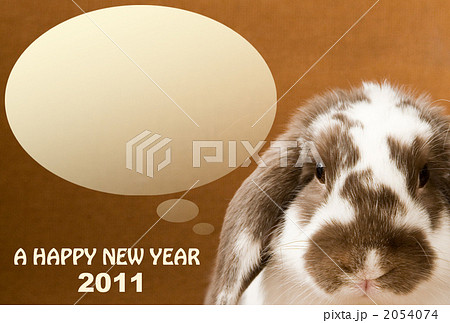 2011ロップイヤーラビット茶色 2054074