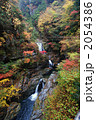 天川村　みたらい渓谷の紅葉 2054386