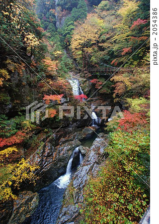 天川村 みたらい渓谷の紅葉の写真素材