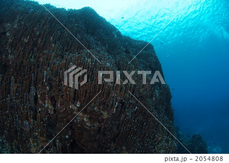 大浦湾 大浦湾 2054808