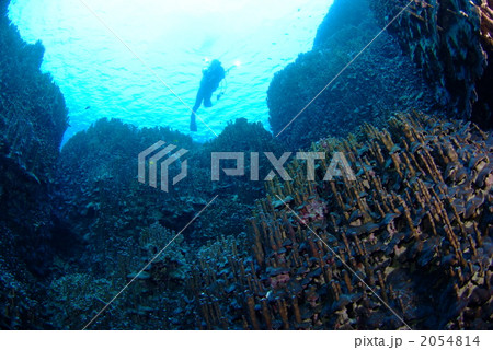 大浦湾 大浦湾 2054814