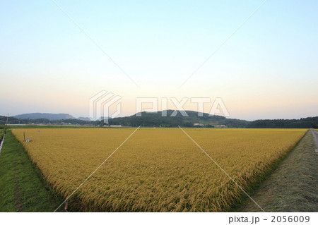 広大な田園風景 広大な田園風景 2056009
