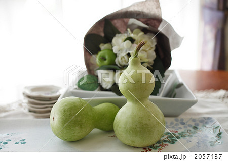 千也瓢箪 千也瓢箪 2057437