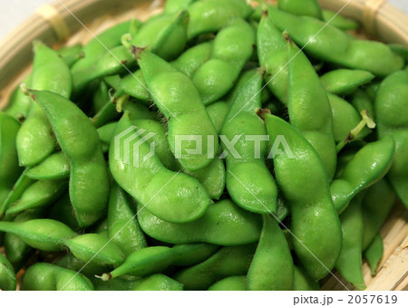 だだちゃ豆 だだちゃ豆 2057619