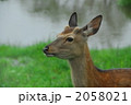 2058021