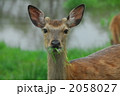 2058027