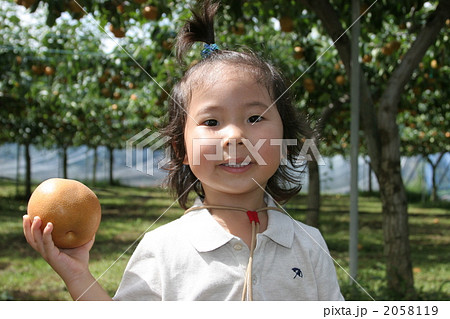 梨と女の子 2058119