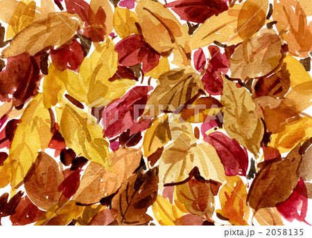 ochiba101130pix 2058135