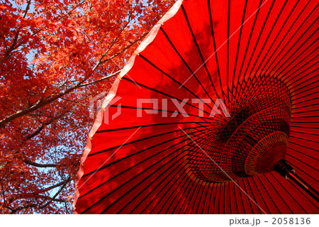 和傘 2058136