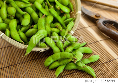 枝豆 2058494