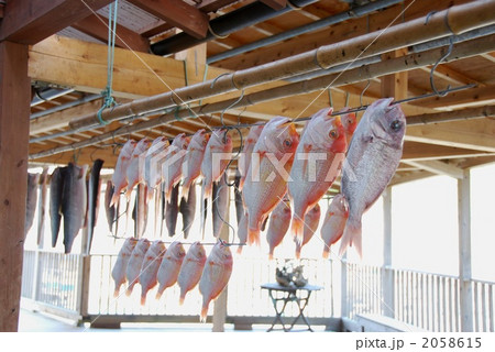 干し魚 2058615