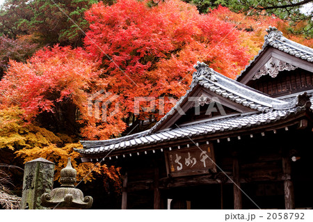 福岡県糸島市雷山の紅葉 福岡県糸島市雷山の紅葉 2058792