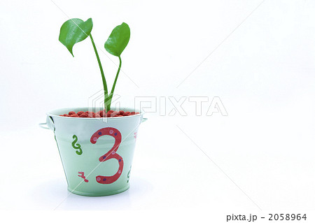 小さな鉢植え 小さな鉢植え 2058964