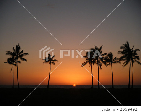 ハワイ州オアフ島の西海岸でパームツリーの間に沈む夕日 2 2059492