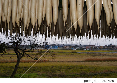 大根干し 2061476