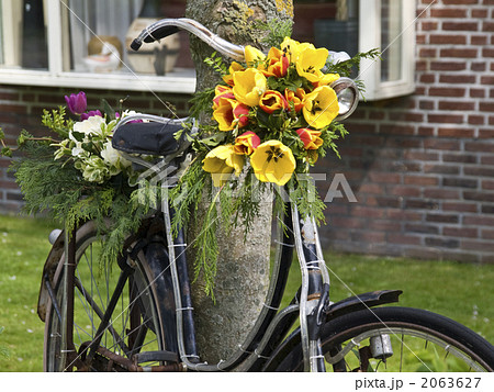 フラワーアレンジ ガーデニング オランダ 自転車の写真素材 [2063627